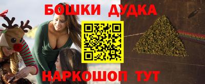 крисы Шахты