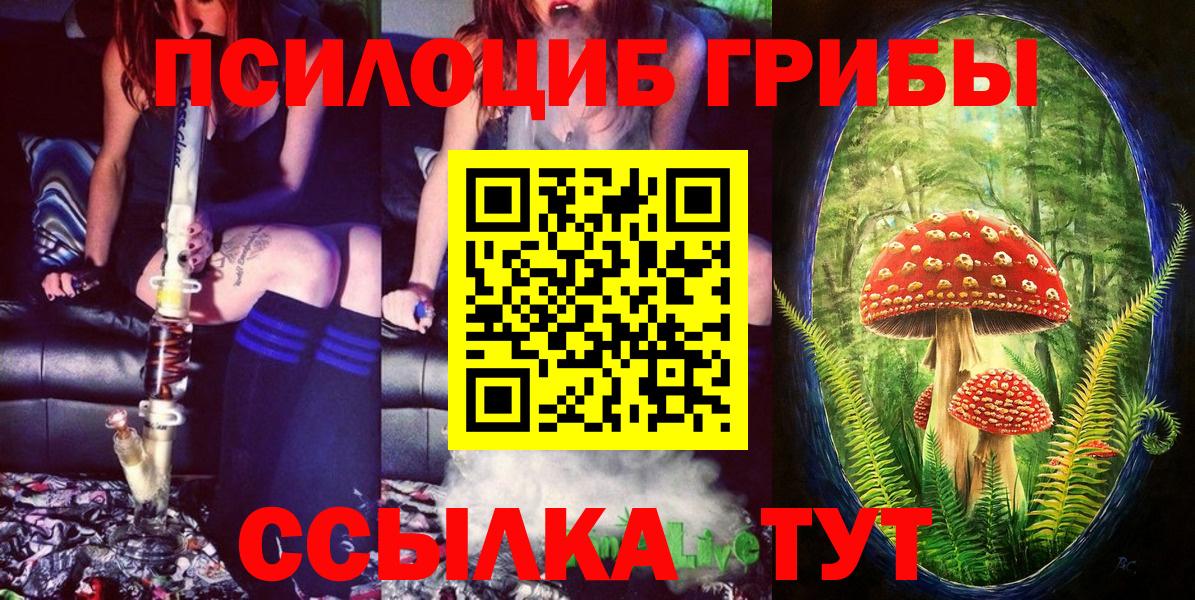 Псилоцибиновые грибы Psilocybine cubensis  Вход с VPN  Ростов Великий 