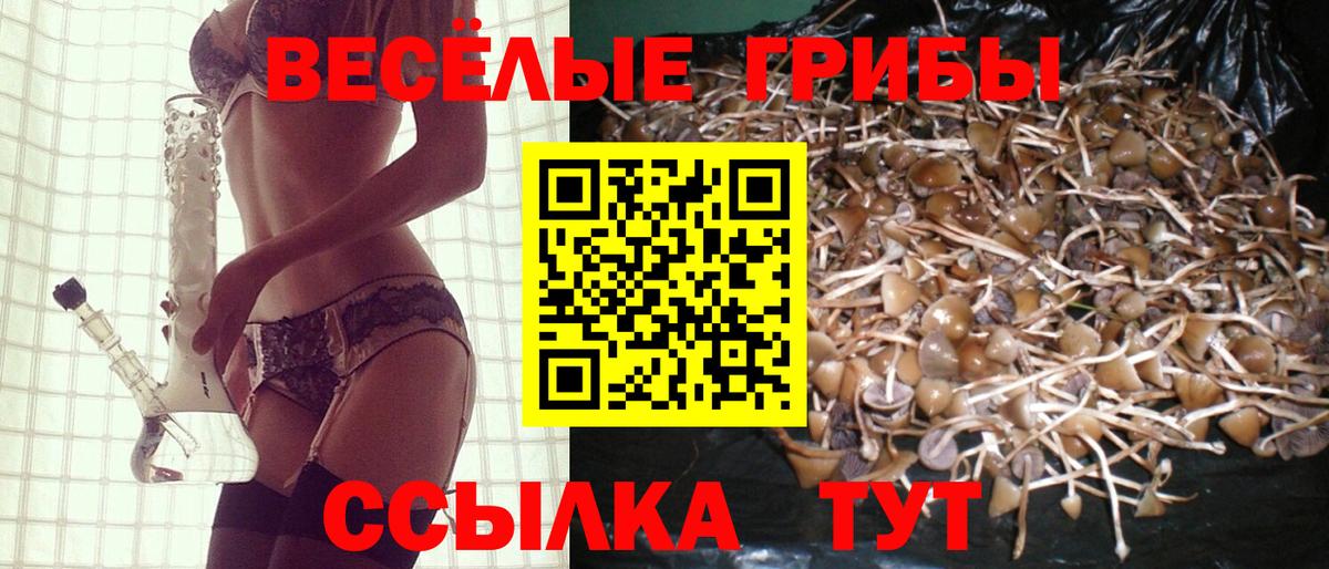 Галлюциногенные грибы Psilocybe Ростов Великий